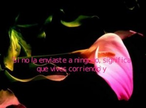 Mensaje de amistad
