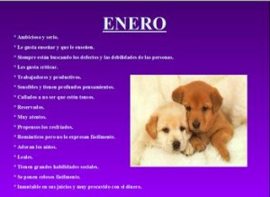 Encuentra tu personalidad