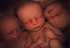 6 mitos para legalizar el aborto