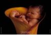Fotos de bebés hechas por Anne Gedes