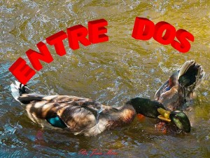 ENTRE DOS