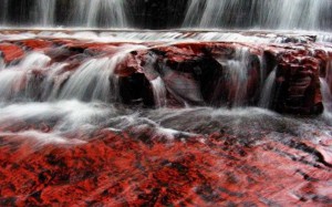 Parque Nacional de Canaima