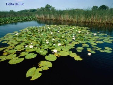 Reservas de la biosfera del mundo. 6